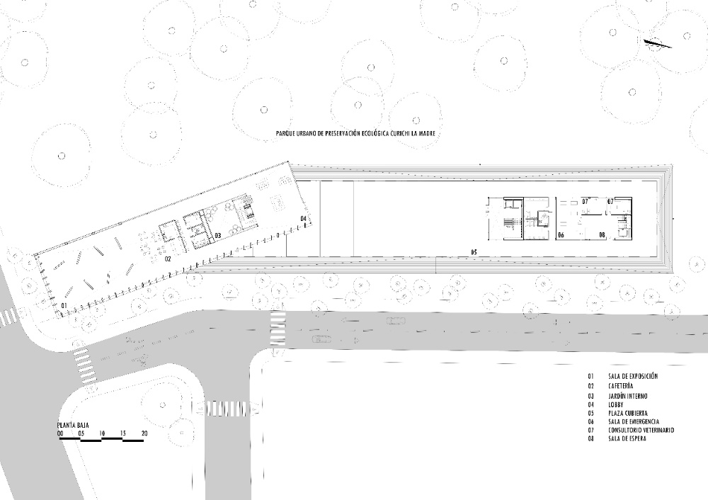 Centro de Investigación y Preservación de Vida Silvestre, Curichi La Madre - imagen 5