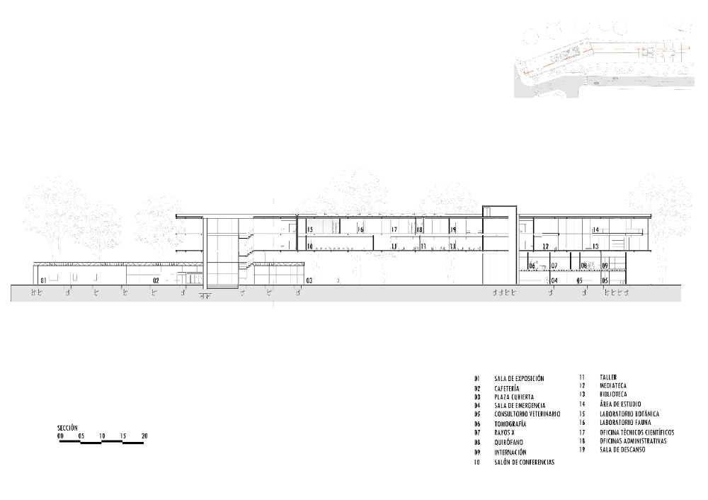 Centro de Investigación y Preservación de Vida Silvestre, Curichi La Madre - imagen 6