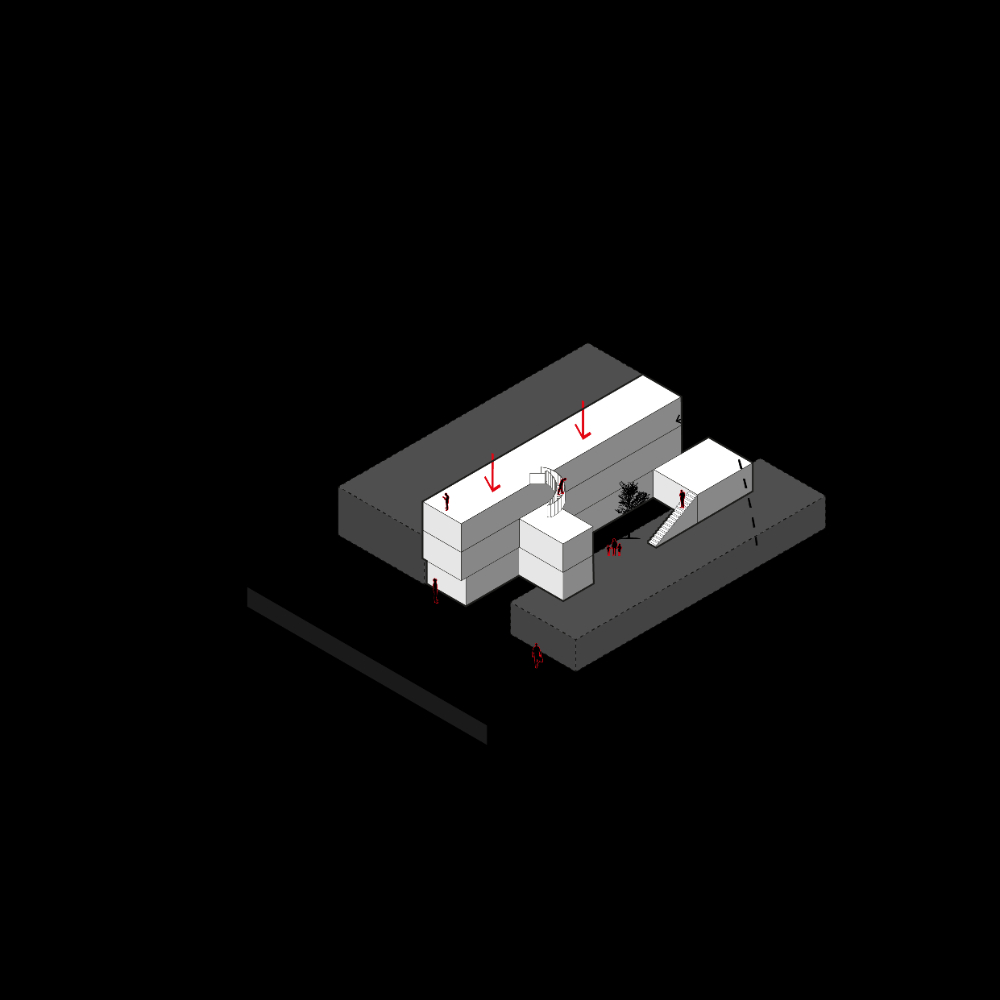 Casa Hidalgo - imagen 13