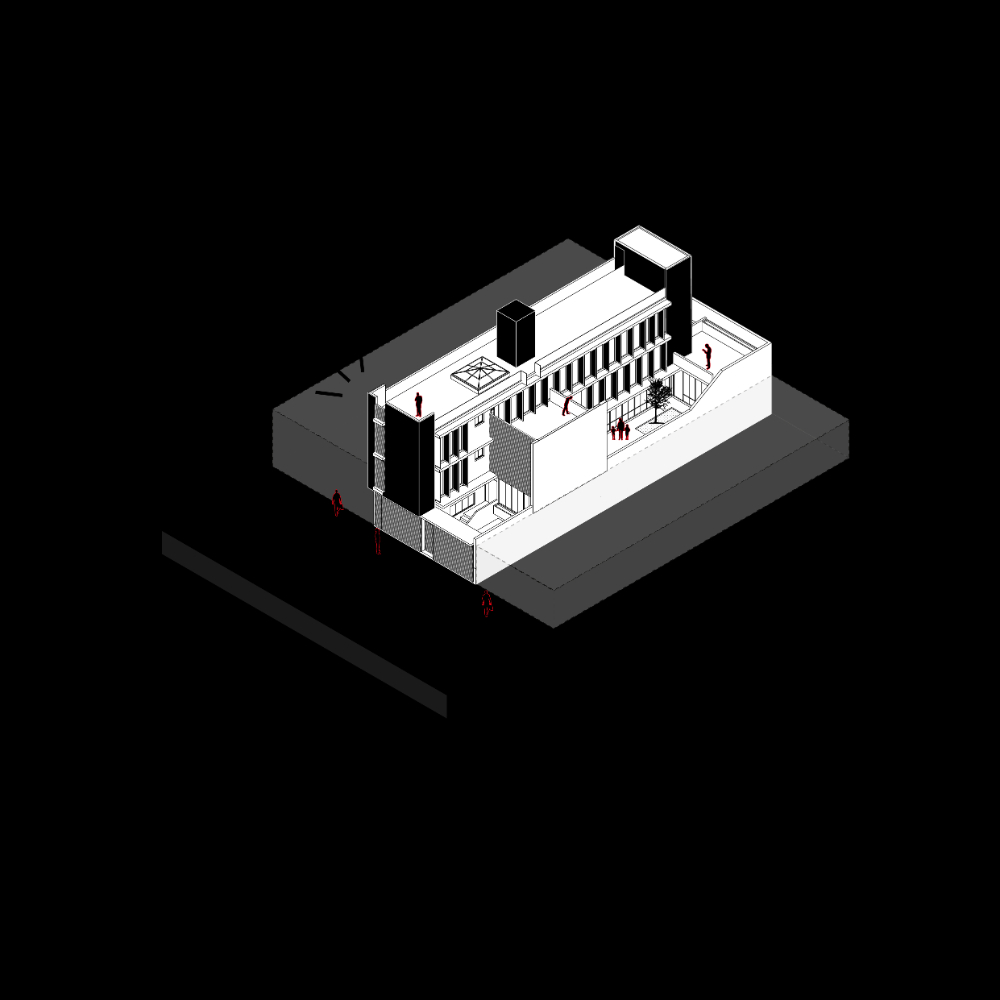 Casa Hidalgo - imagen 15