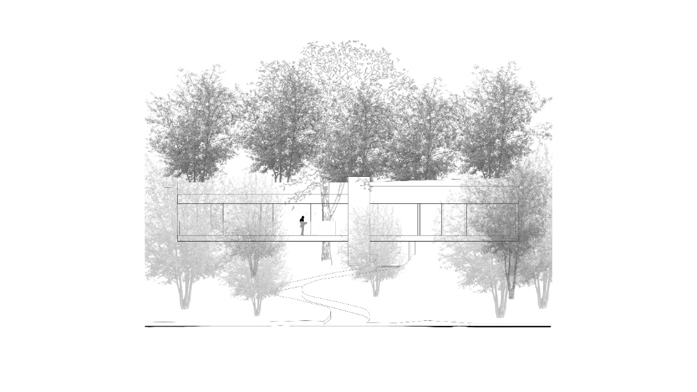 Huellas Silenciosas - Cabaña - imagen 6