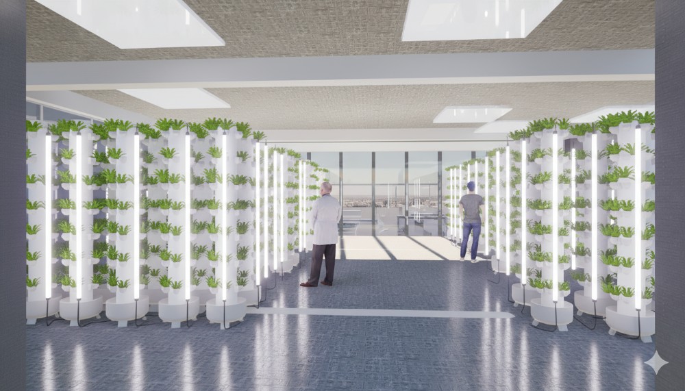 Complejo Productivo de Cultivos Verticales - imagen 8