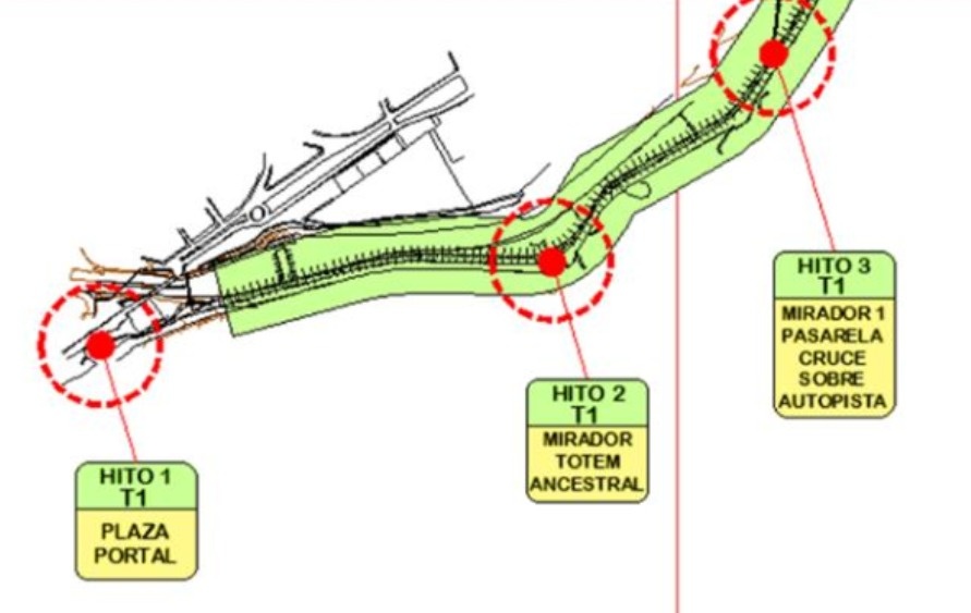 SALLA HUMANI, RAICES Y RAYOS VISUALES - imagen 4