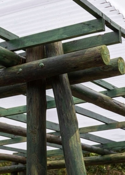 Comedor Emergencial - imagen 4